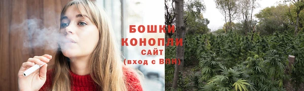 PSILOCYBIN Алзамай