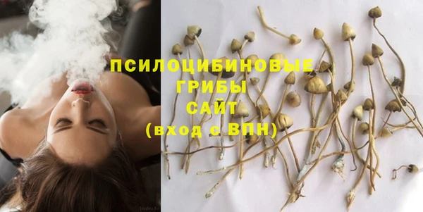 стафф Алексин
