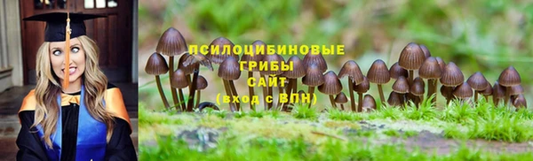 PSILOCYBIN Алзамай