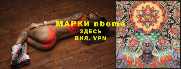 стафф Алексин