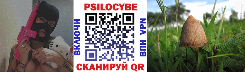 Псилоцибиновые грибы ЛСД  Пушкино 