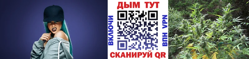Бошки Шишки MAZAR Пушкино
